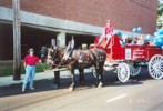 Clydesdales