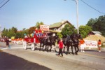 Clydesdales