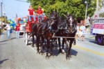 Clydesdales